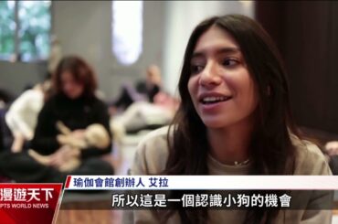 全球現場漫遊天下    20231231｜#公視新聞網