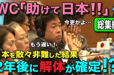 【総集編】日本を散々非難していたIWCに天罰！各国の大量脱退＆巨額賠償で崩壊寸前に！【睡眠用 作業用】