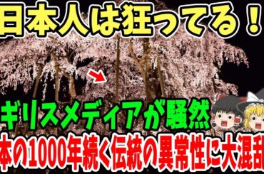 【海外の反応】「日本人は異常すぎる」日本で1000年以上続いてきたとある秘密が暴かれ、世界中が衝撃を受ける…【ゆっくり解説】