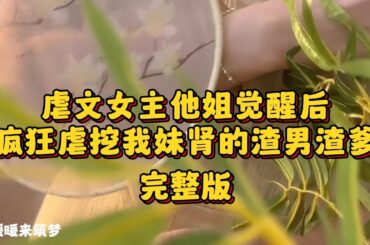 （完整版）我是虐文女主的姐姐。我觉醒后，渣男想挖我妹妹的肾，被砍二十六刀，刀刀不致命。渣爹想卖女求荣