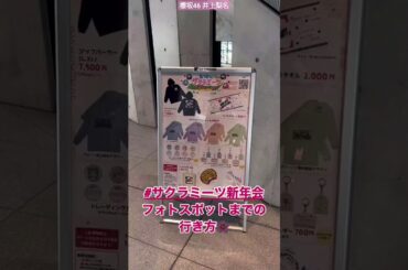 櫻坂46 井上梨名 #サクラミーツ 新年会お越しの皆様へ EXシアターのフォトスポットをナビゲート 撮影して SNSにたくさん投稿たのミーツ 昼ミーツ15:00から 松田里奈 石森璃花 三期生