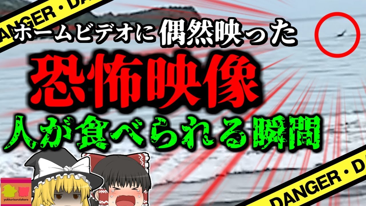 【2023年】ホームビデオに写り込んでいた恐怖映像 海でワニに襲われ助けを呼ぶ男性のシルエットが…『メキシコ湾ワニ襲撃事故』【ゆっくり解説】 【2023年】ホームビデオに写り込んでいた恐怖映像 海でワニに襲われ助けを呼ぶ男性のシルエットが…『メキシコ湾ワニ襲撃事故』【ゆっくり解説】
