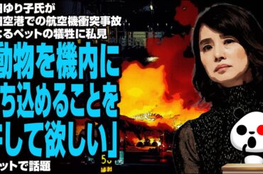 石田ゆり子氏が羽田空港での航空機衝突事故によるペットの犠牲に私見「動物を機内に持ち込めることを許して欲しい」が話題