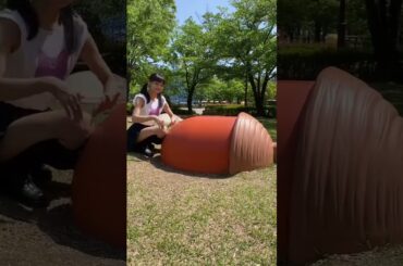 どんぐりとなかよし