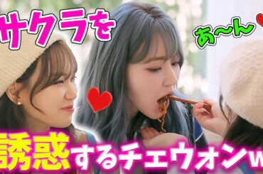 【LE SSERAFIM】とっておきの笑顔でサクラに求愛するチェウォン【日本語字幕】