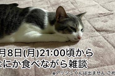 【第13回生配信】なにか食べながら雑談【佐々木琴子】