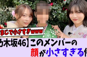 【乃木坂46】このメンバーの顔が小さすぎる