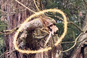 2024年初龍神緊急ライブ！※この映像を見かけたら今日必ず見ておいて下さい※願いが叶う不思議な力がある高岡神社オンライン遠隔参拝