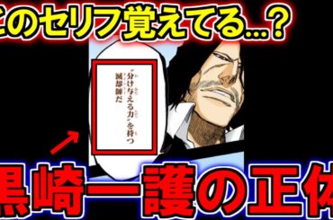 【BLEACH】黒崎一護のヤバすぎる正体を考察【ブリーチ解説】