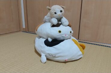 杉咲花主演映画『市子』挿入歌、童謡にじ（虹）を歌ってみた【9歳児アカペラ】