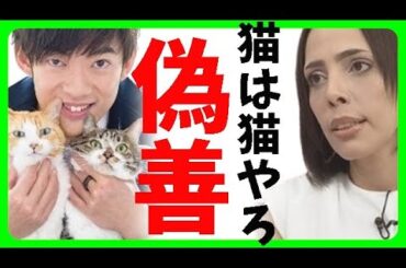 【JAL機炎上】マスゴミがJALの完璧な避難誘導の揚げ足とる為画策⇒須藤元気、石田ゆり子、明日花キララ、梅宮アンナ等が賛同、一方、フィフィ、あおちゃんぺ等冷静に反対⇒署名は2日で1.6万人超え