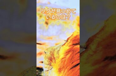 今日リクが見つめているのは誰？