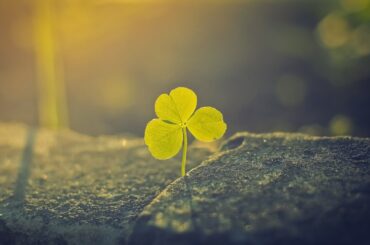 イット！  2024年1月10日 LIVE FULL【1080pHD】 New