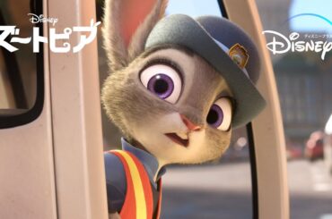 夢と目標のために頑張るキャラクター3選｜『ズートピア』『アナと雪の女王』『クルエラ』｜Disney+ (ディズニープラス）