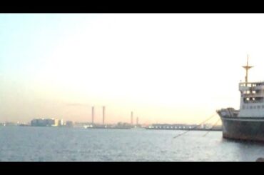 【1月7日ラジオ体操866日目】七草粥を食べる日！