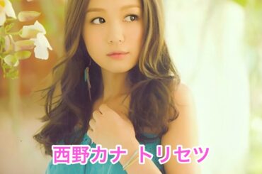 西野カナ   トリセツ (歌詞入り)