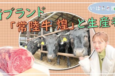 いばらき推し「新ブランド“常陸牛 煌”と生産者」