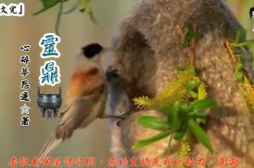 靈鼎 (441-460章) 作者：心碎夢思遷 (字幕：繁 简）