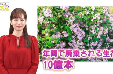 知りたい！SDGs #224 | 2024/1/11放送