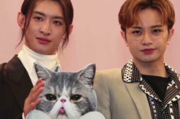 中島健人「かわいらしい恋バナでしたね」と一笑。Snow Man向井康二は「それキモがれるから」