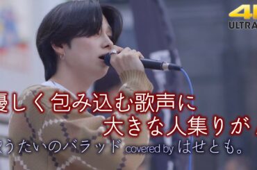 【 歌うま 】優しく包み込む歌声に大きな人集りが！ 歌うたいのバラッド / 斉藤和義 （covered by はせとも。）横須賀路上ライブ（横須賀ジャズロックフェスティバル） 🎧推奨 高音質 4K映像