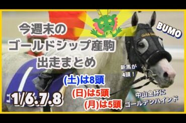 【ゴールドシップ】今週末のゴールドシップ産駒出走情報 中山金杯にゴールデンハインドが出走！