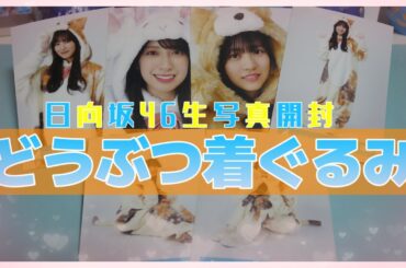 【日向坂46】推しは出るのか！？反則級に可愛すぎる「どうぶつ着ぐるみ」生写真開封してみた！！