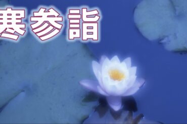 1月13日 朝参詣《寒参詣》【高祖報恩総講】LIVE