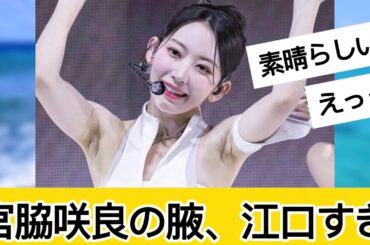 宮脇咲良さんがレベチすぎる！に対するネット民の反応 #なんJ#2chまとめ#ネットの反応