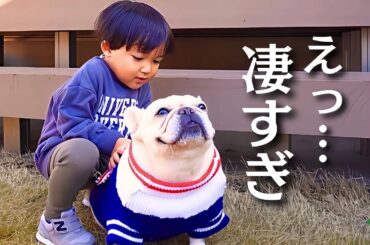 ブルブル震える愛犬に3歳児が寄り添った結果が凄すぎた…【子供が嫌いな元保護犬フレンチブルドッグ】