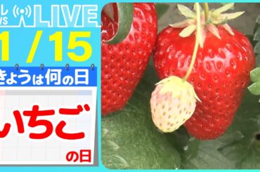 【きょうは何の日】『いちごの日』大人気の“完売”グルメ  いちご大福　/【熱海グルメ】いちごスイーツ   地元でウワサの人気店　など　ニュースまとめライブ【1月15日】（日テレNEWS LIVE）
