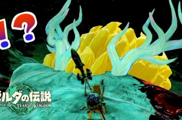 白龍を連れ出してペット化する方法がヤバすぎたｗｗｗ【ゼルダの伝説ティアーズオブザキングダム】【Totk】