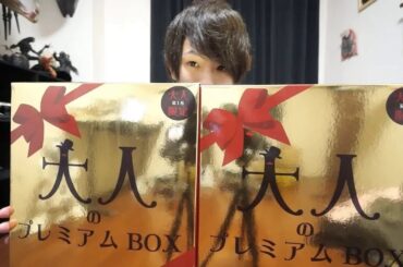 【エロ注意】大人のプレミアムBOX開封！【はいで終わります】