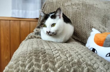 金曜日定例ライブ！本日は家飲みであります！　　チャットはお気軽にどうぞ