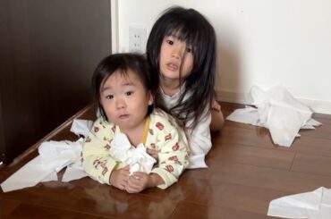 【森ケの日常】今年初のモーニングルーティンが結局一日ルーティンになる森ケ。