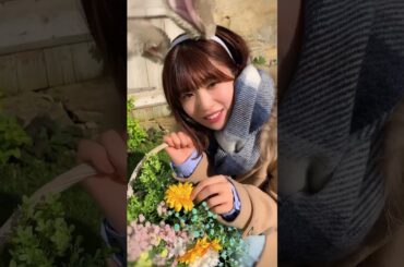 そんなにまっすぐ見つめないでくださいよ〜🐰🌷#日向坂46 #松田好花 #うさぎ #shorts