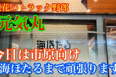 【長距離トラック運転手】元気丸　スーパーグレート走行動画　今日は市原向け　海ほたるまで走るよ😁