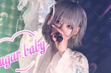 【LIVE映像】sugar baby/sugar sugar