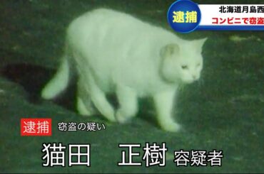 【放送事故】偶然にツボるアナウンサー