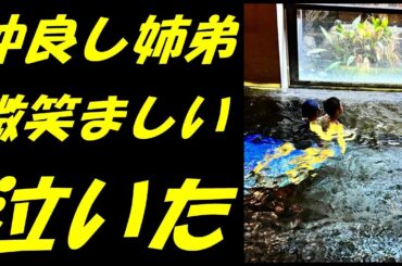 【海老蔵改め團十郎】妻・小林麻央さんも喜んでいると思う“最高のクリスマスプレゼント”「素晴らしい」「微笑ましい」【市川團十郎白猿】