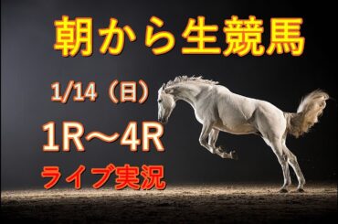 中央競馬実況　Horse Racing Commentary　as huge as a horse’s ！（小倉、京都、中山）