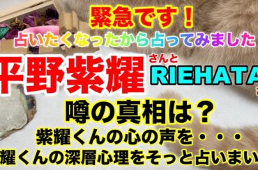 【平野紫耀】🔮TO BE・Number_i・Sho Hirano占いたくなったから占ってみた！紫耀くんとRIEHATAさんって？噂の真相に迫ります！！・⚠️概要欄見てね❤️