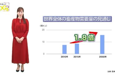 知りたい！SDGs #225 | 2024/1/18放送