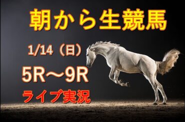 中央競馬実況　Horse Racing Commentary　as huge as a horse’s ！（小倉、京都、中山）