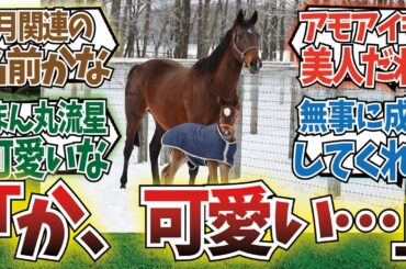 「【朗報】キタモンドアイ、無事誕生」に対するみんなの反応集