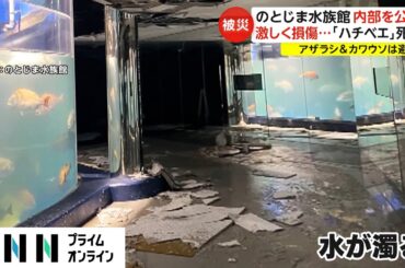 のとじま水族館 内部を公開　激しく損傷...「ハチベエ」死ぬ　アザラシ & カワウソは避難