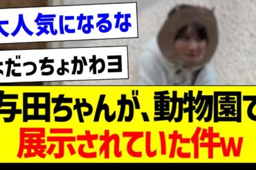 与田祐希さん、動物園で展示されてた件ｗ【乃木坂46・坂道オタク反応集】