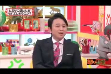 有吉の怒り新党 🅷🅾🆃2024  応援になっていないプロ野球の応援歌