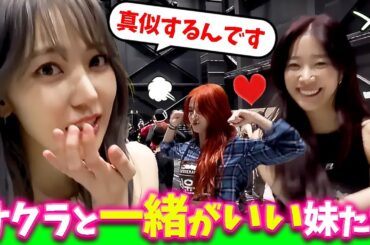 【LE SSERAFIM】サクラが好きすぎて！？一緒になりたい妹たちｗ【日本語字幕】
