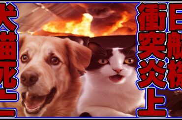 羽田飛行機猫犬ペット死亡海外の反応JAL日本航空機衝突事故貨物室炎上火災空港c滑走路ニュース癌笠井信輔アナインスタ客室アレルギー動物スターフライヤー同乗石田ゆり子須藤元気批判スターウォーズ石川地震